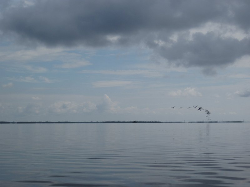 Captiva101812-4530.jpg - Kayak from McCarthy Marina, Captiva,  around Buck Key in Pine Island Sound