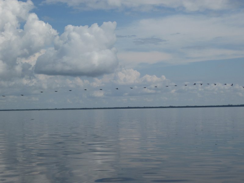 Captiva101812-4533.jpg - Kayak from McCarthy Marina, Captiva,  around Buck Key in Pine Island Sound