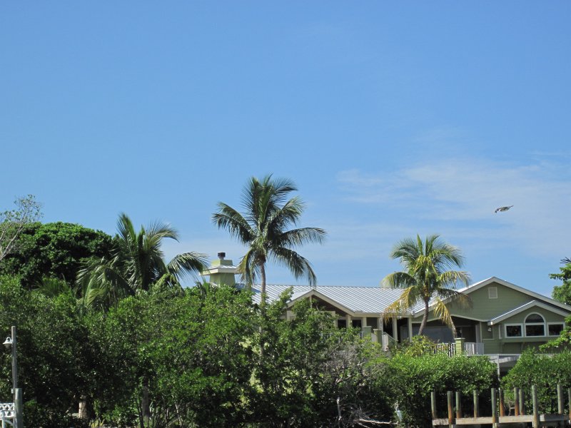 Captiva101812-4589.jpg - Kayak from McCarthy Marina, Captiva,  around Buck Key in Pine Island Sound