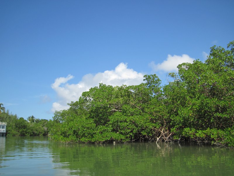 Captiva101812-4592.jpg - Kayak from McCarthy Marina, Captiva,  around Buck Key in Pine Island Sound