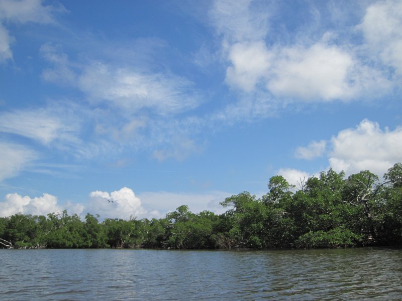 Captiva101812-4627.jpg - Kayak from McCarthy Marina, Captiva,  around Buck Key in Pine Island Sound