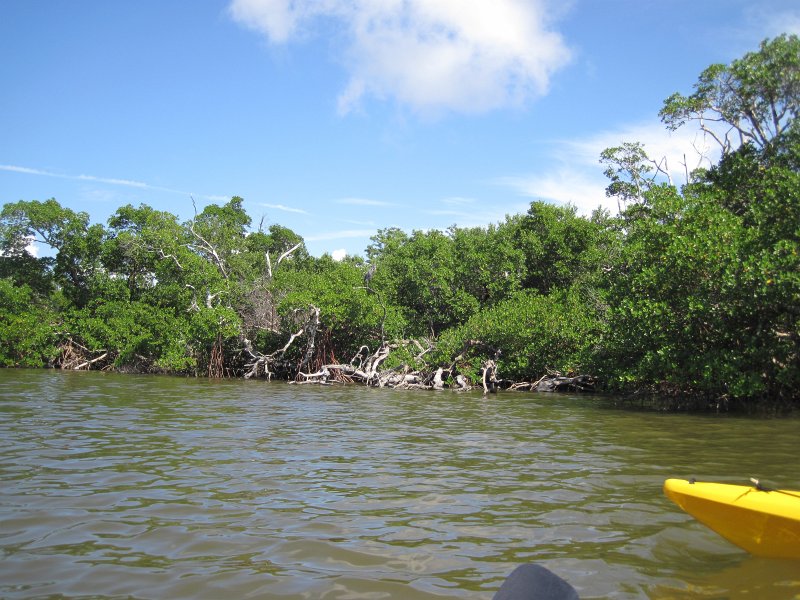 Captiva101812-4632.jpg - Kayak from McCarthy Marina, Captiva,  around Buck Key in Pine Island Sound