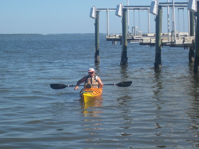 Captiva101812-4752.jpg - Kayak from McCarthy Marina, Captiva,  around Buck Key in Pine Island Sound, 3rd trip