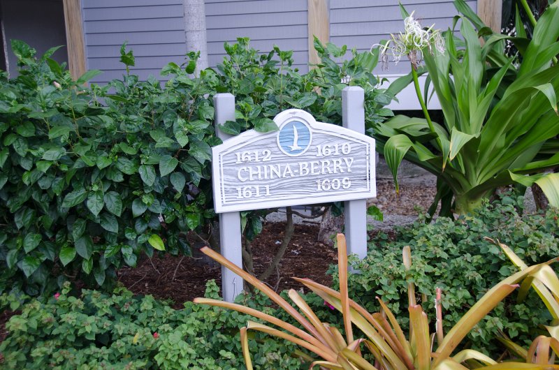 DSC_4149.jpg - China Berry Building, Lands End rooms 1609-12