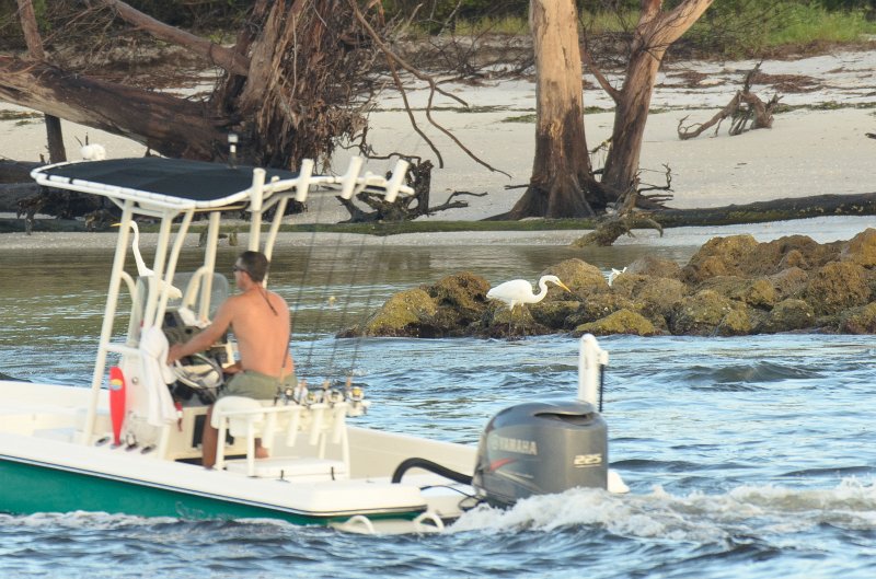 Captiva101812-3673.jpg - pictures taken from room 1611, South Seas resort.  View of Redfish Pass