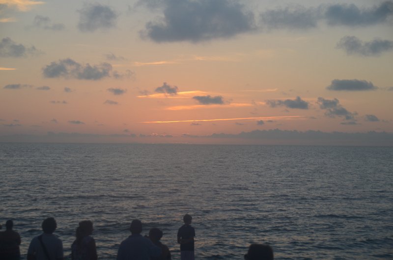 Captiva101812-3640.jpg - Pictures taken in / near Mucky Duck, Captiva