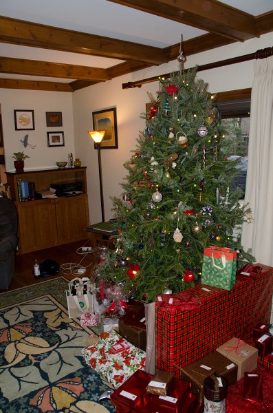 Christmas2012-4517.jpg - Christmas Eve before going to Grandma and Grandpa's