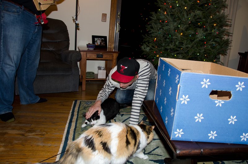 Christmas2012-4337.jpg - Decorating the Christmas Tree