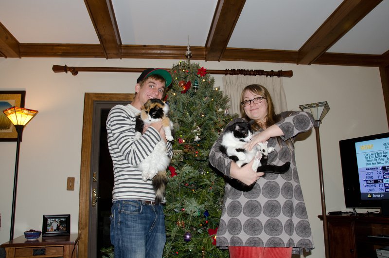 Christmas2012-4356.jpg - Decorating the Christmas Tree