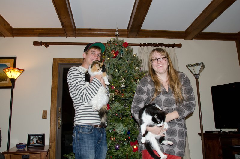 Christmas2012-4357.jpg - Decorating the Christmas Tree