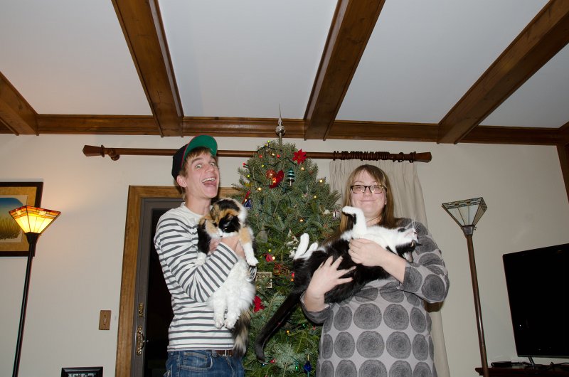 Christmas2012-4358.jpg - Decorating the Christmas Tree