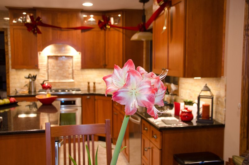 Christmas2012-4484.jpg - Our New Kitchen -- Merry Christmas!!