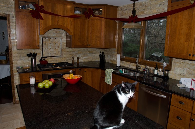 Christmas2012-4498.jpg - Our New Kitchen -- Merry Christmas!!