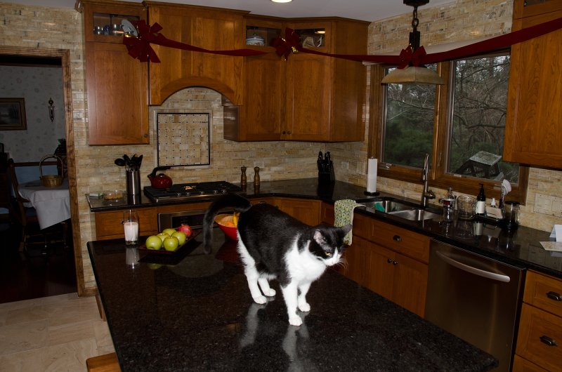 Christmas2012-4499.jpg - Our New Kitchen -- Merry Christmas!!