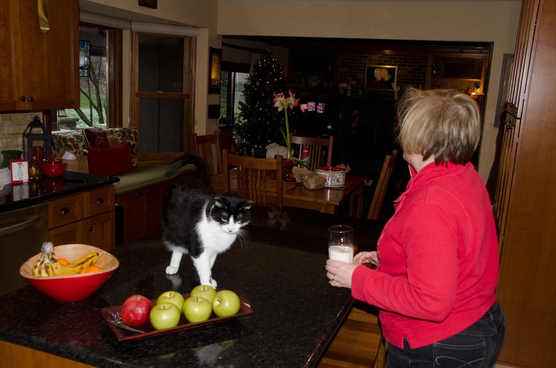Christmas2012-4502.jpg - Our New Kitchen -- Merry Christmas!!