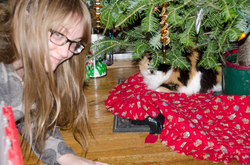 Christmas2012-4352.jpg - Decorating the Christmas Tree