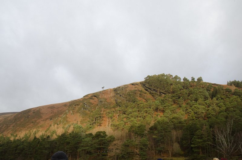 Dublin010212-8128.jpg - Glendalough, Wicklow mountains