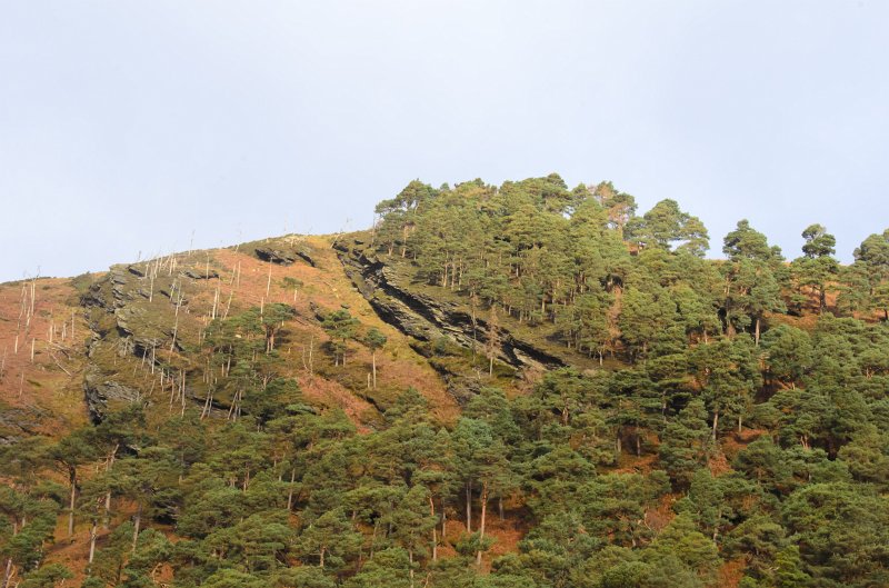 Dublin010212-8129.jpg - Glendalough, Wicklow mountains