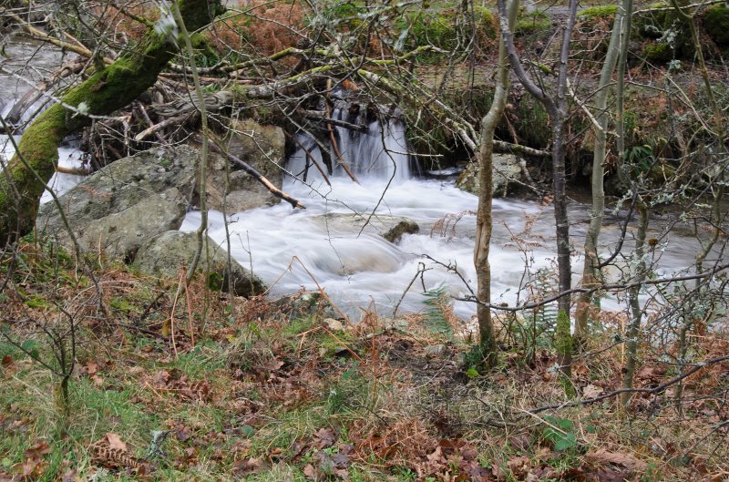 Dublin010212-8131.jpg - Wicklow Way trail in Glendalough, Wicklow mountains