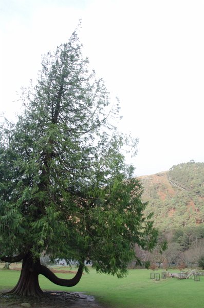 Dublin010212-8134.jpg - Wicklow Way trail in Glendalough, Wicklow mountains