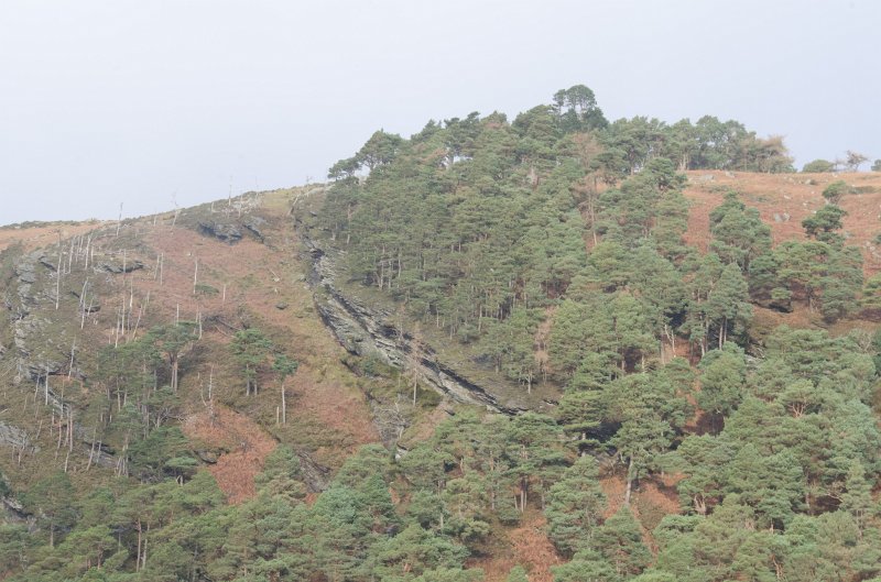 Dublin010212-8135.jpg - Wicklow Way trail in Glendalough, Wicklow mountains