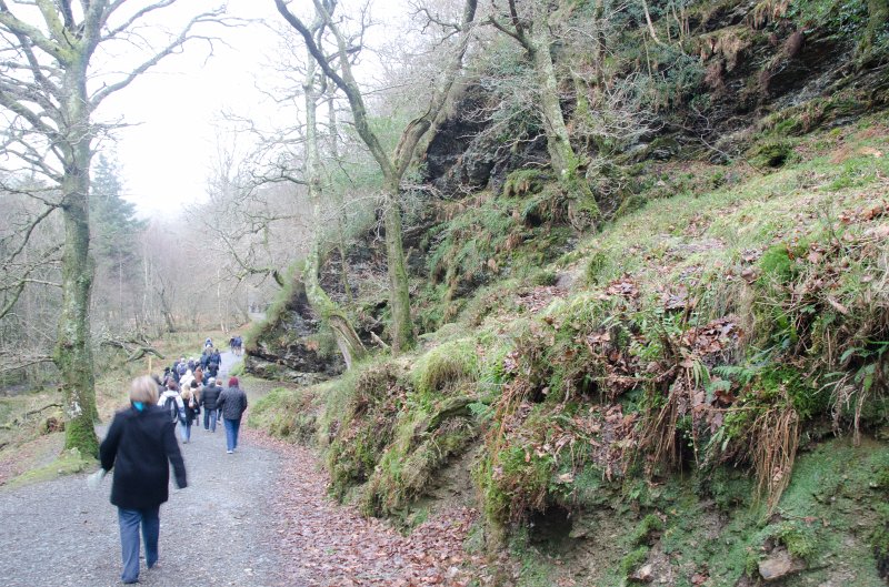 Dublin010212-8143.jpg - Wicklow Way trail in Glendalough, Wicklow mountains