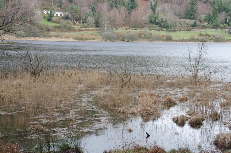 Dublin010212-8145.jpg - Lower Lake, view from Wicklow Way trail in Glendalough, Wicklow mountains