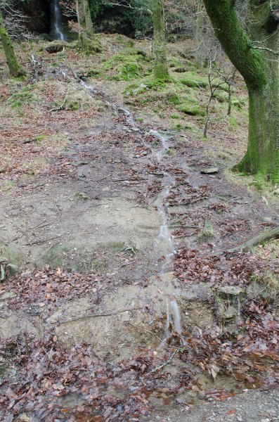 Dublin010212-8146.jpg - Wicklow Way trail in Glendalough, Wicklow mountains