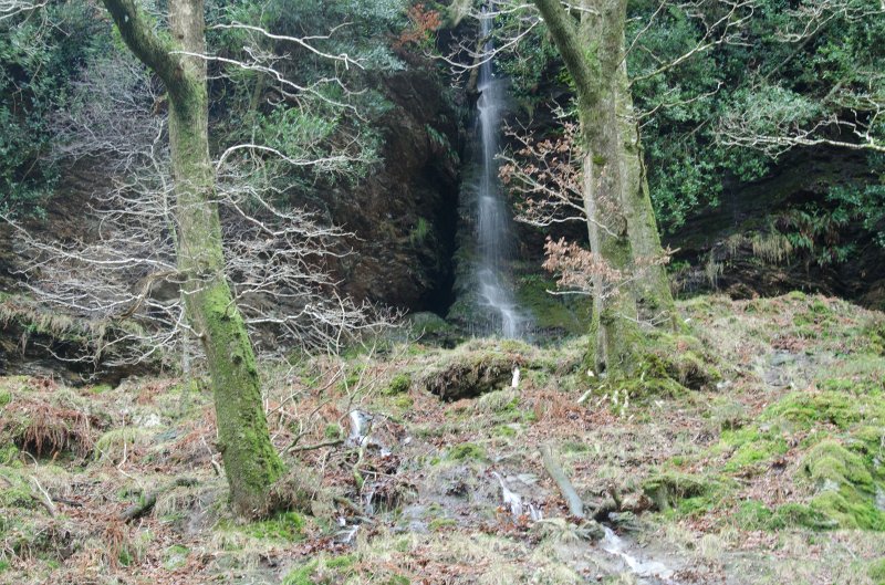 Dublin010212-8147.jpg - Wicklow Way trail in Glendalough, Wicklow mountains