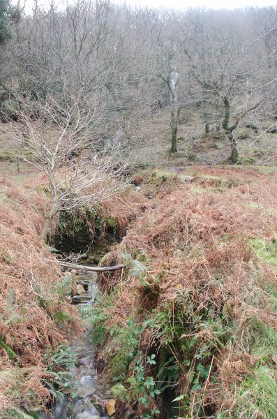 Dublin010212-8155.jpg - Wicklow Way trail in Glendalough, Wicklow mountains