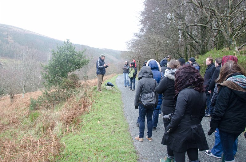 Dublin010212-8156.jpg - Wicklow Way trail in Glendalough, Wicklow mountains