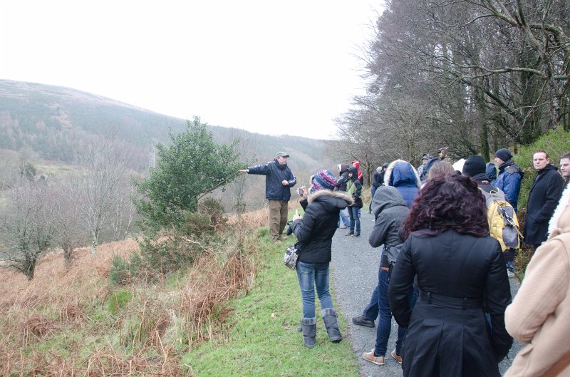 Dublin010212-8157.jpg - Wicklow Way trail in Glendalough, Wicklow mountains