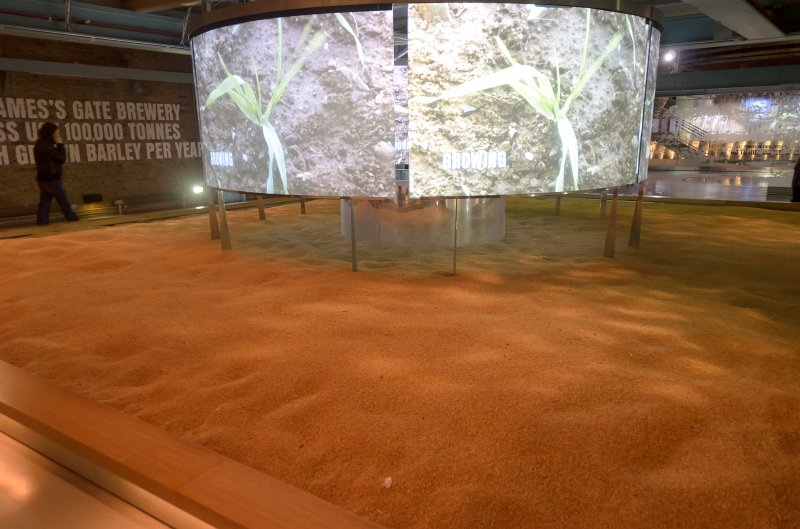 Dublin010212-8058.jpg - Barley, Guinness St James Gate Brewery