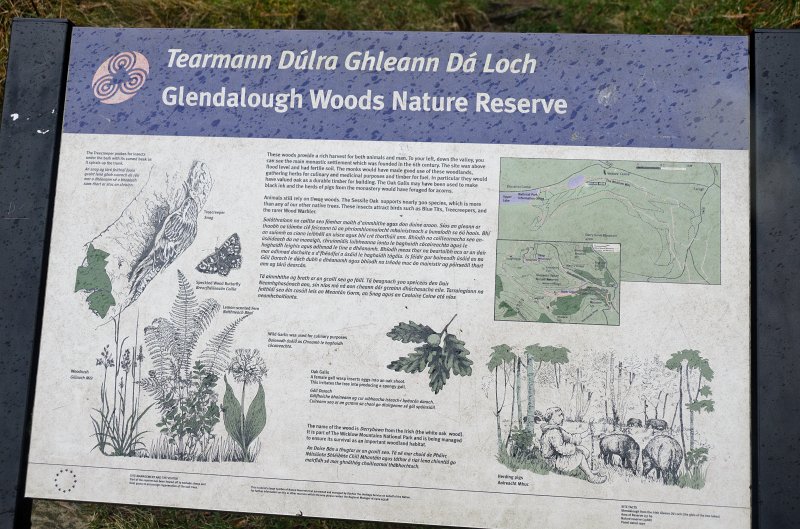 Dublin010212-8159.jpg - Glendalough Woods Nature Reserve