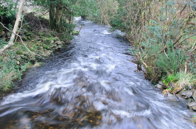 Dublin010212-8164.jpg - Water running along Wicklow Way Trail