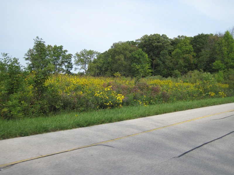 FermiLabBike091612-4151.jpg - Bike Fermi Lab