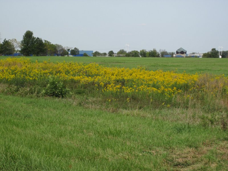 FermiLabBike091612-4166.jpg - Fermlab Goldenrod Prairie, Neutrino Area (background)