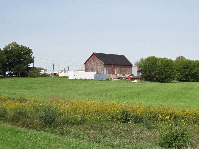 FermiLabBike091612-4168.jpg - Fermilab's Buffalo Farm