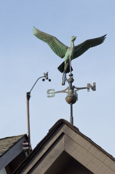 SpringFlowers040512-9688.jpg - Spring Flowers