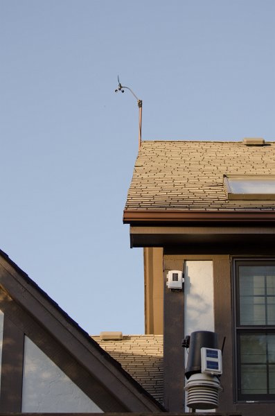 SpringFlowers040512-9695.jpg - Spring Flowers