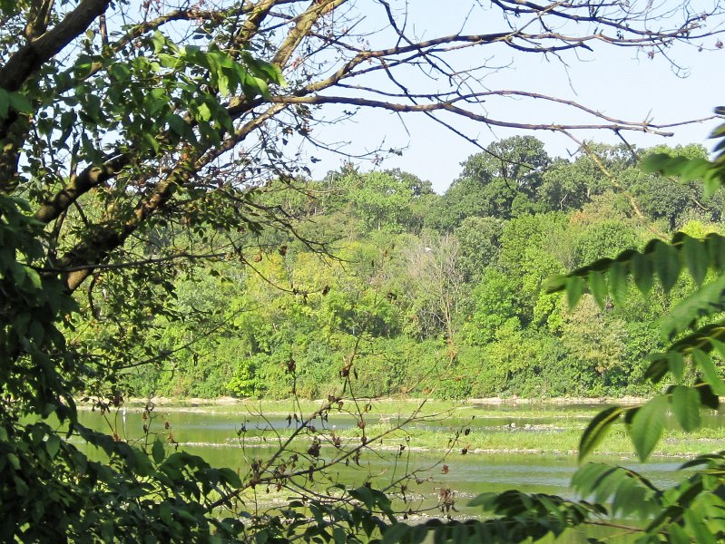 IMG_4024.jpg - Fox River water level is really low