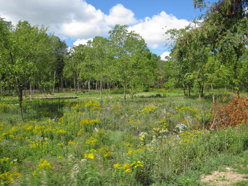 FoxRiverBike090912-4103.jpg - Late Summer prairie near Fox River