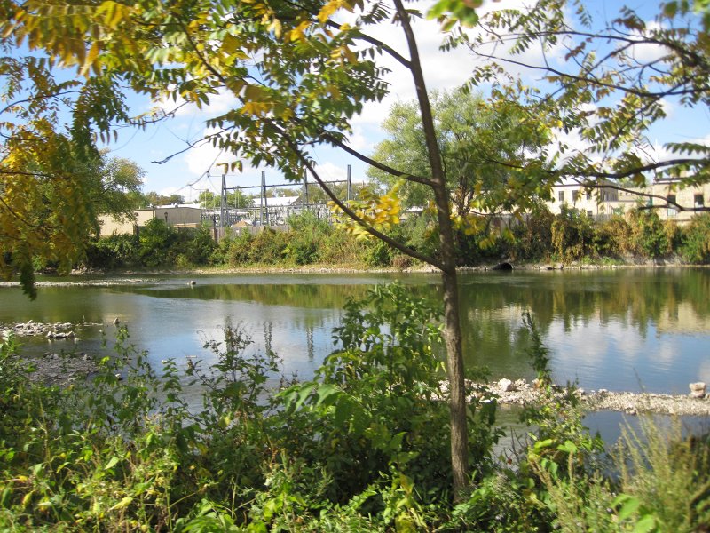 FoxRiverBike093012-4248.jpg - Gravel bars.  River very shallow.