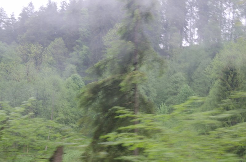 Fussen051212-0796.jpg - Driving thru a heavy stand of trees. On Rt 472 heading West near Wackersberg, driving from Salzburg to Füssen