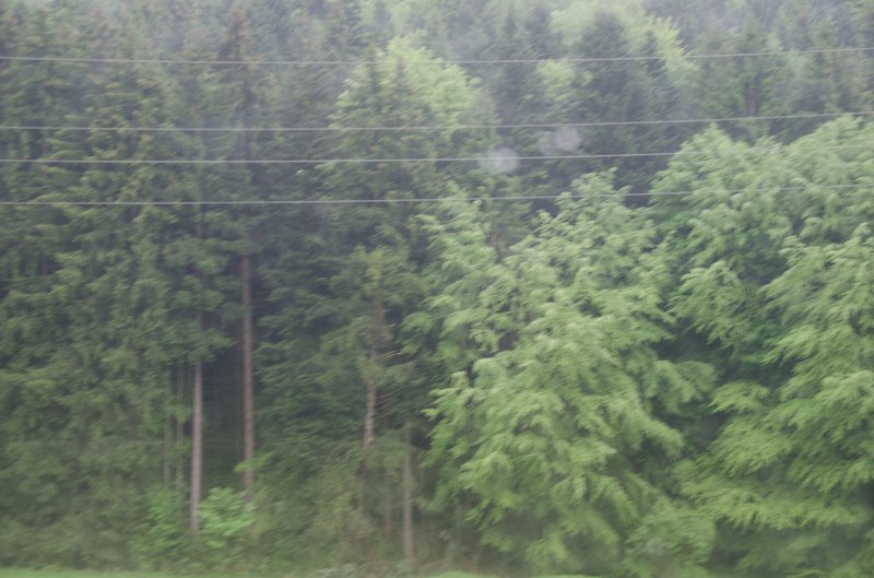Fussen051212-0801.jpg - Driving thru a heavy stand of trees. On Rt 472 heading SouthWest near Bad Heilbrunn, driving from Salzburg to Füssen
