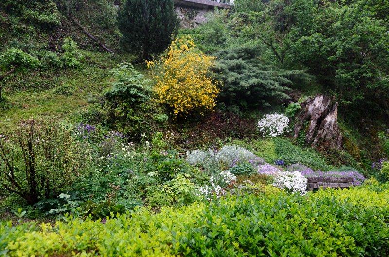 Fussen051212-0842.jpg - Stadtpark Baumgarten