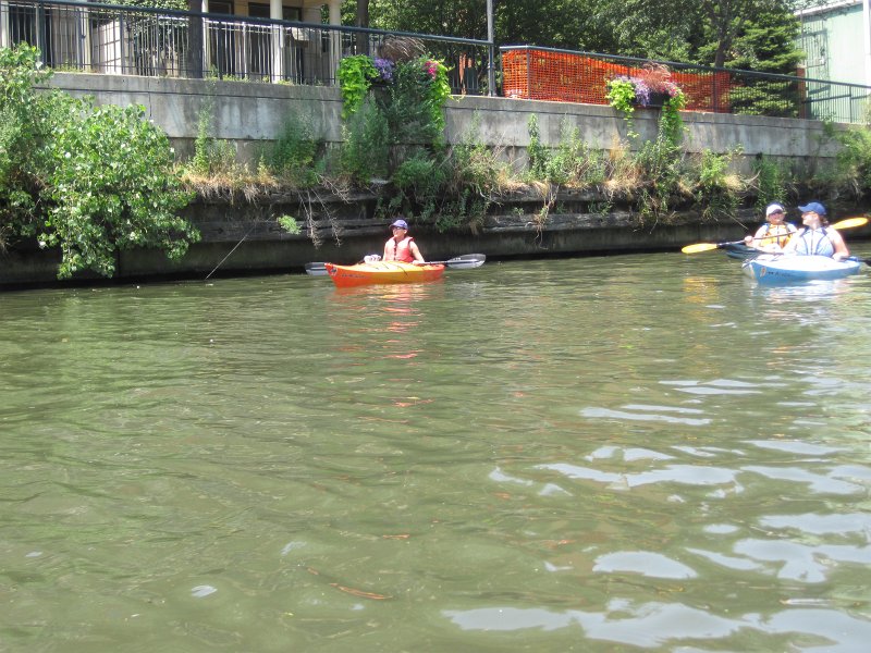 KayakChicagoRiver071412-3813.jpg - Kayak Chicago River - Goose Island to Michigan Ave