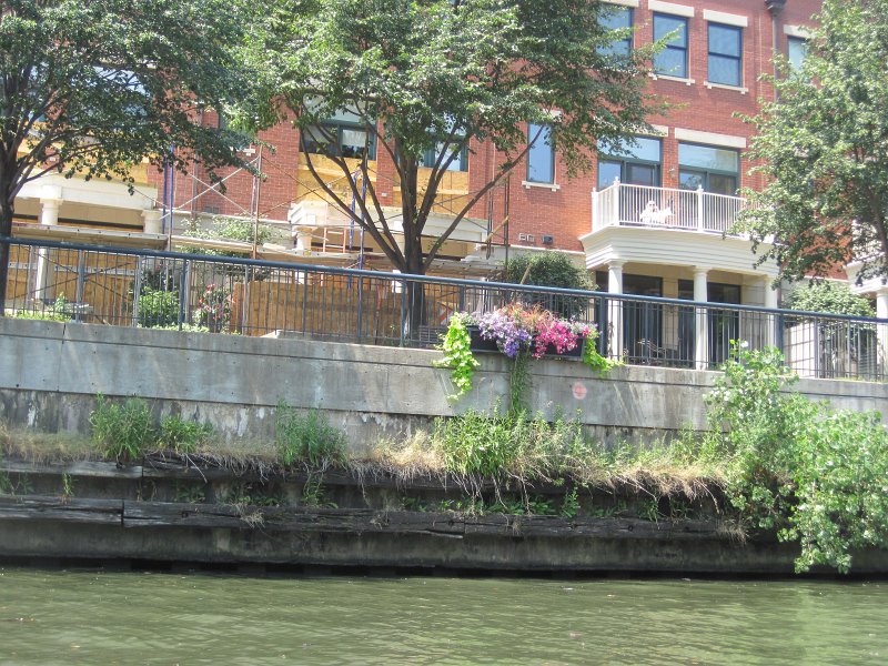 KayakChicagoRiver071412-3814.jpg - Kayak Chicago River - Goose Island to Michigan Ave