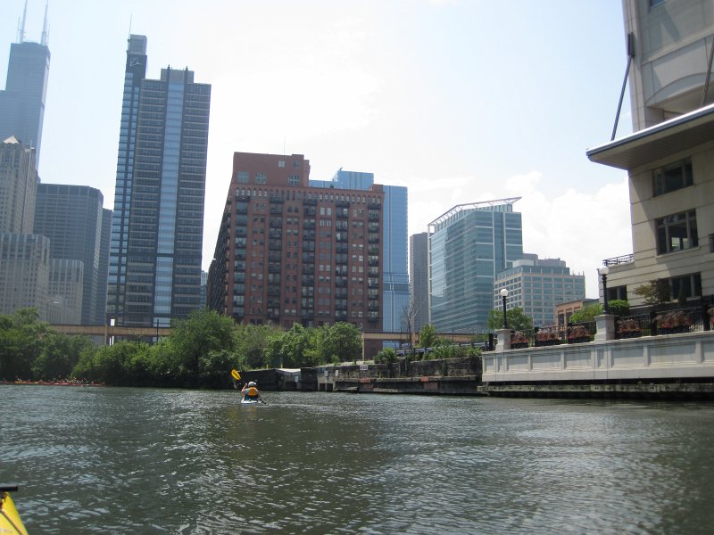 KayakChicagoRiver071412-3831.jpg - Kayak Chicago River - Goose Island to Michigan Ave