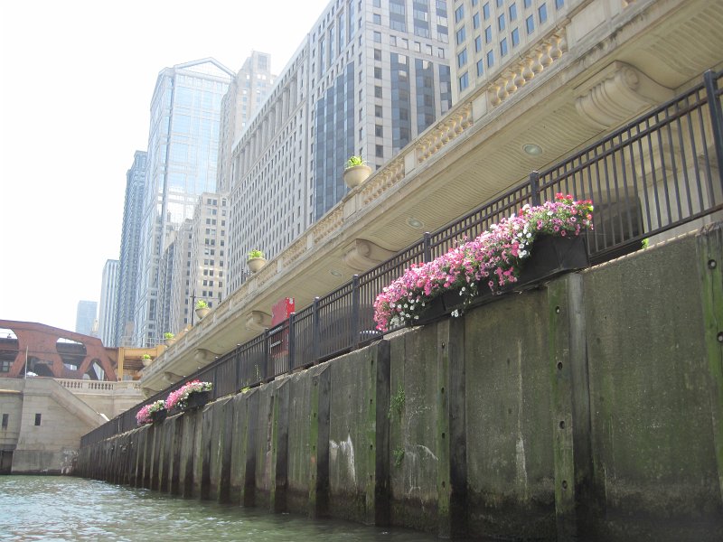 KayakChicagoRiver071412-3870.jpg - Kayak Chicago River - Goose Island to Michigan Ave